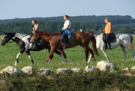 Pro Equus Lovaspark