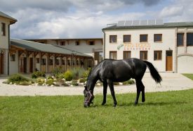 Pro Equus Lovaspark – 2. kép