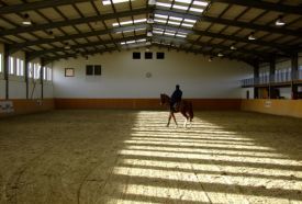 Pro Equus Lovaspark – 3. kép