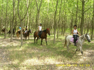 Airport Ranch