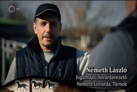 Németh Lovarda
