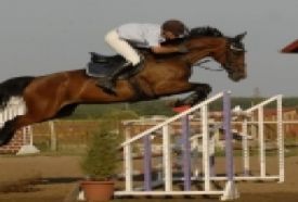 Equina Lovasfarm – 2. kép