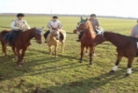 Equina Lovasfarm – 3. kép