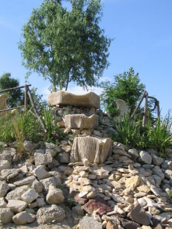Domak Tanya – 3. kép