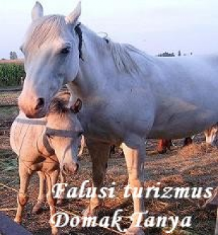 Domak Tanya