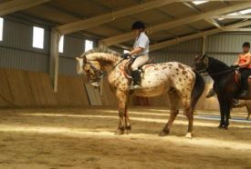 Paci Joci Farm – 2. kép