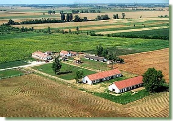 Tiszaörsi Lovasudvar