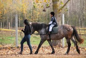 Mikepércsi Lovaspark – 4. kép