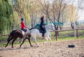 Mikepércsi Lovaspark – 5. kép