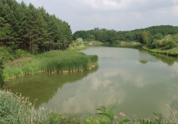 Ceredi Horgásztó