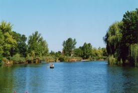 Bónom-zugi Holtág