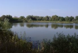 Püspökmolnári kavicsbányató – 2. kép