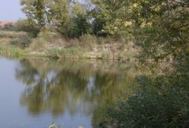 Püspökmolnári kavicsbányató – 3. kép