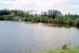 Petörke-tó – 5. kép