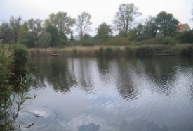 Tómalom – 3. kép