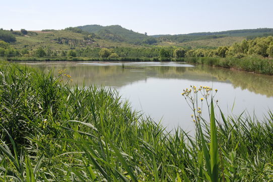Kétbodonyi-horgásztó