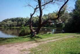 Kacsa-tó – 2. kép