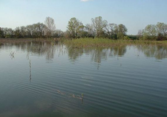 Tunyogmatolcsi Holt Szamos víztározó