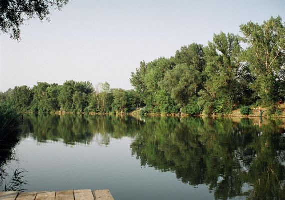 Holt Tisza (Csépa)