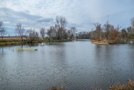 Horgásztó – 2. kép