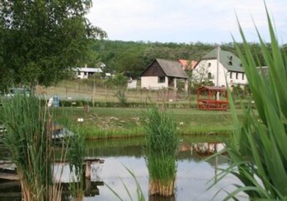 Domonyvölgyi II. horgásztó