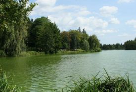 Csónakázótó és Horgásztó – 3. kép