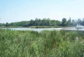 Ráckevei Dunaág és mellékvizei – 3. kép