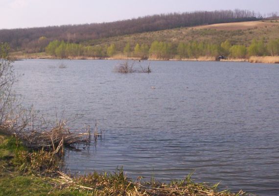 Bakonycsernyei Jóléti Tavak (I-II.)
