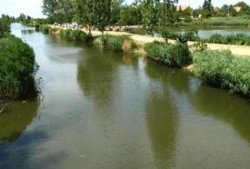 Kórógy-csatorna