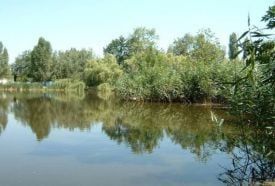 Csónakázó tó (Tiszaliget)