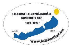 Horgászat a Balatonon
