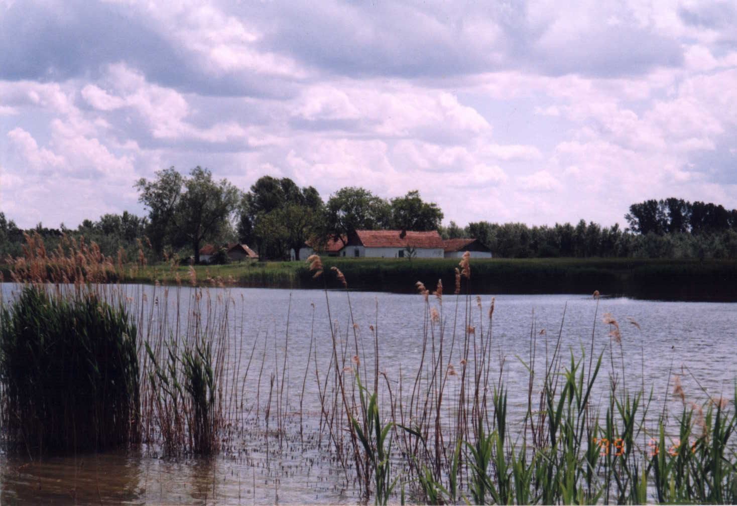 Horgásztó