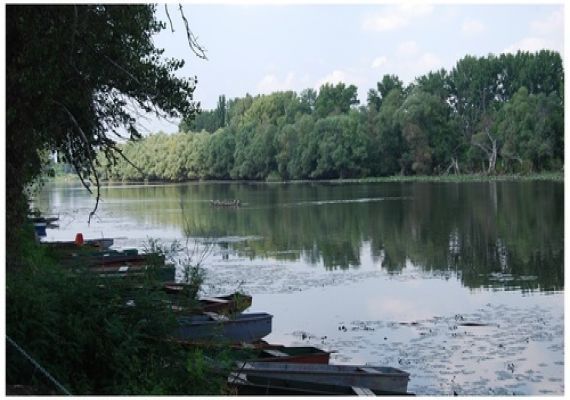 Tiszaalpári Holt-Tisza