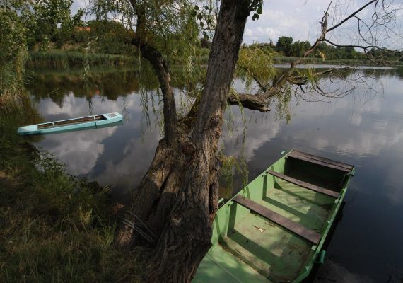 Holt-Tisza