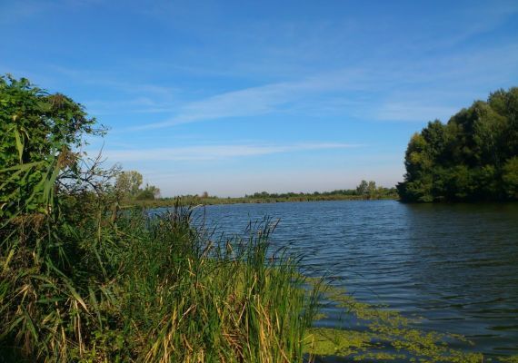 Tunyogmatolcsi Holt Szamos víztározó