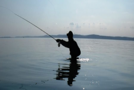 Gonefishing