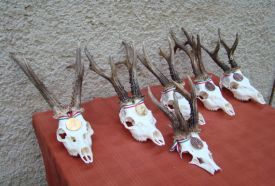 Körösladányi Vadászegyesület – 2. kép
