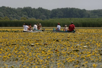 Vízitúra szervezése és kenukölcsönzés – 5. kép