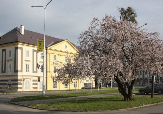 Körmendi Kulturális Központ, Múzeum és Könyvtár