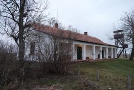 Borda-tanya