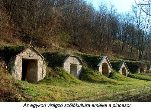 Pincesorok