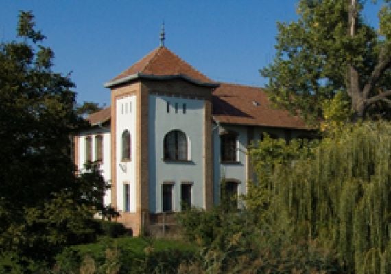 Szőnyegszövő