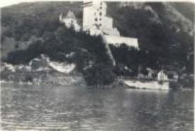 Vízibástya