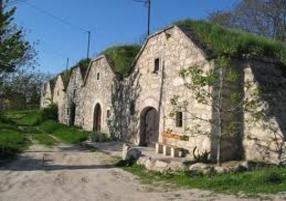 Pátyi Pincesor