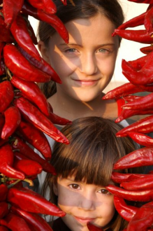 Röszkei Paprika Park – 2. kép