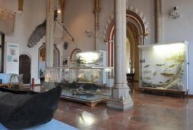Magyar Mezőgazdasági Múzeum – 4. kép