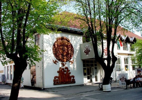 Gyermekszervezet-Történeti Múzeum
