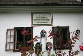 Berzsenyi Dániel Emlékmúzeum - Szülőház