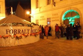 Váci Curia Borház és Borgyűjteménytár – 5. kép