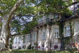 Arany János Emlékház - Tisza-Kastély - A Tisza család Kriptája